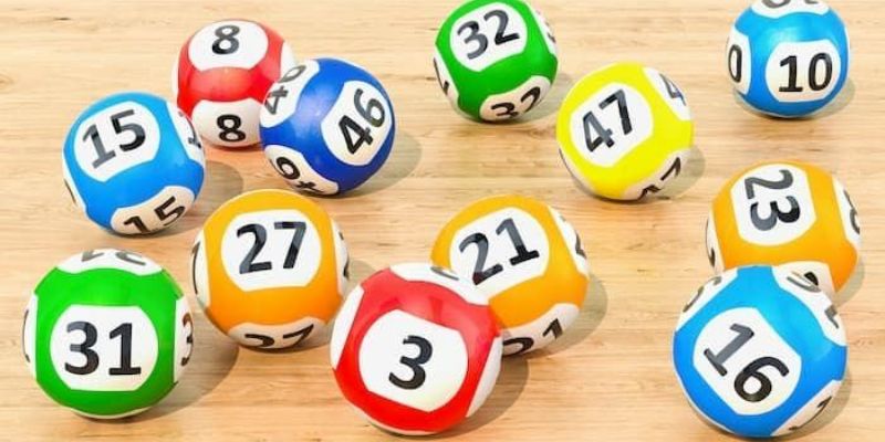 Những lưu ý khi nuôi dàn số của bộ đề 13