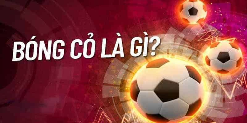 Kinh nghiệm đánh bóng cỏ giúp anh em thu về thu về lợi nhuận khủng