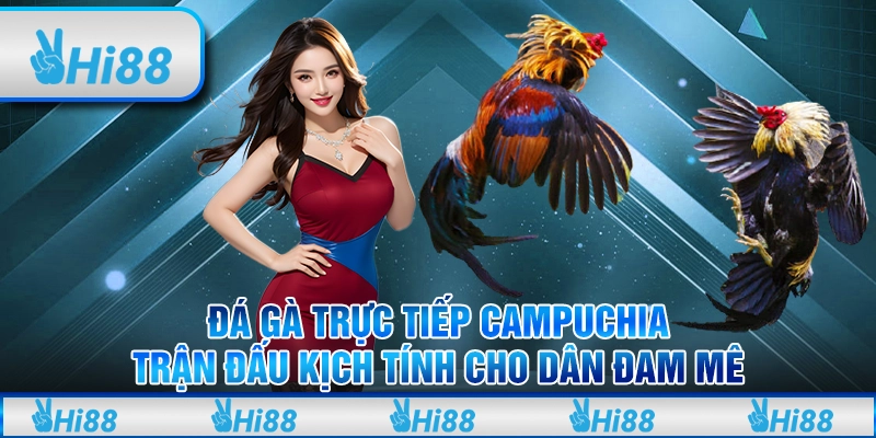 Đá gà trực tiếp Campuchia – Trận đấu kịch tính cho dân đam mê