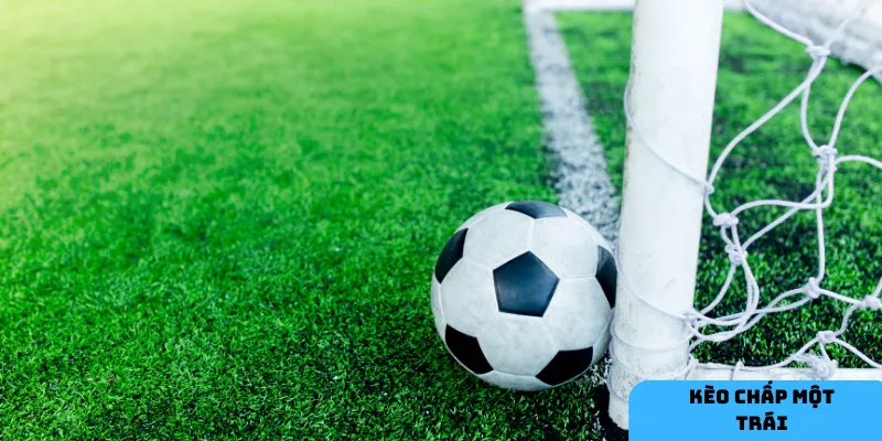 Phân tích yếu tố ảnh hưởng.