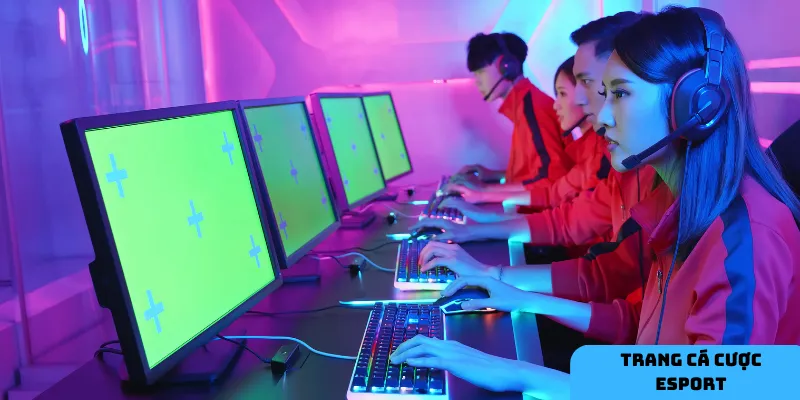 Chiến lược đặt cược hợp lý.