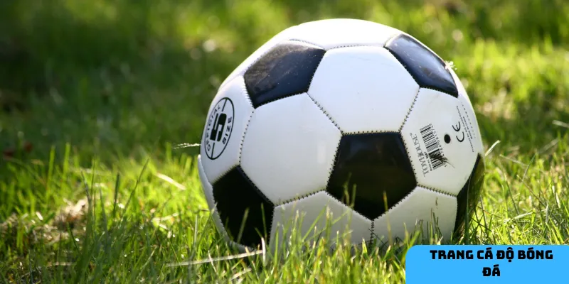  Lựa chọn trang cá độ có giấy phép và bảo mật cao để đảm bảo an toàn khi chơi.