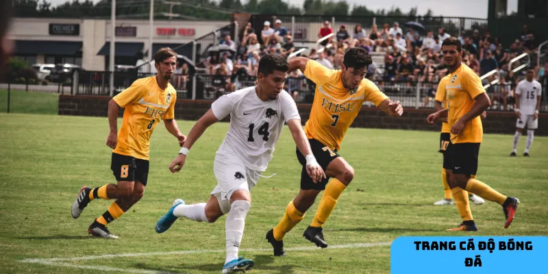 Tiêu chí đánh giá trang cá độ bóng đá uy tín