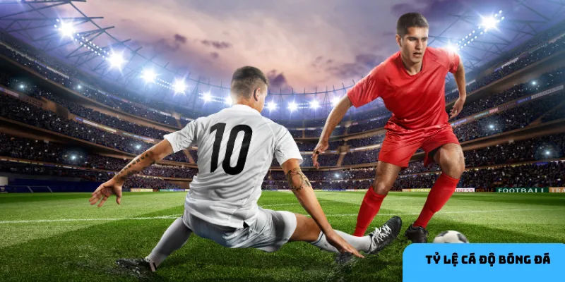 Phân tích phong độ và đội hình