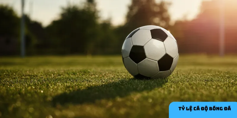 Sử dụng công cụ phân tích từ HI88