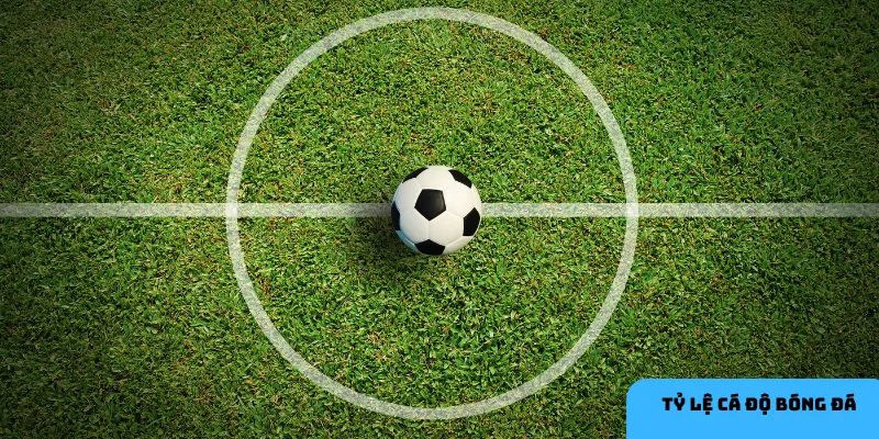 Kèo châu Âu với ba lựa chọn cơ bản