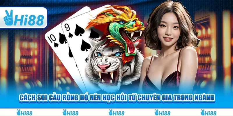 Cách soi cầu Rồng Hổ nên học hỏi từ chuyên gia trong ngành