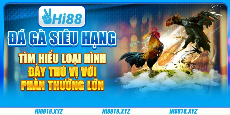 Đá gà siêu hạng - Tìm hiểu loại hình đầy thú vị với phần thưởng lớn