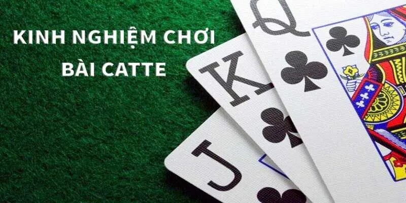 Luôn quan sát đối thủ là một trong các mẹọ của cách chơi catte dễ thắng