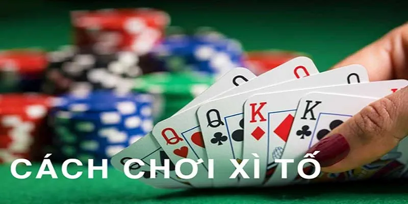 4 bước chính cần thực hiện trong Xì Tố