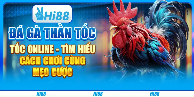 Đá gà thần tốc online - Tìm hiểu cách chơi cùng mẹo cược