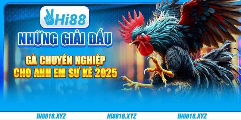 Những giải đấu gà chuyên nghiệp cho anh em sư kê 2025