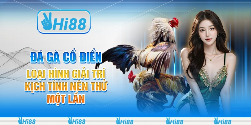 Đá gà cổ điển - Loại hình giải trí kịch tính nên thử một lần