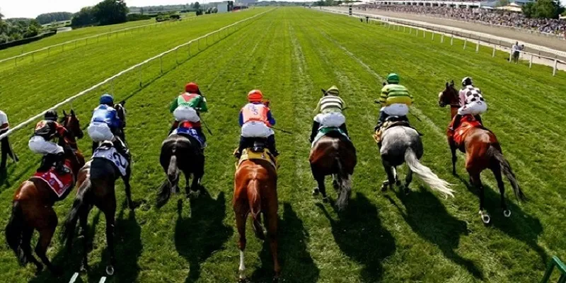 Bí kíp cược đua ngựa