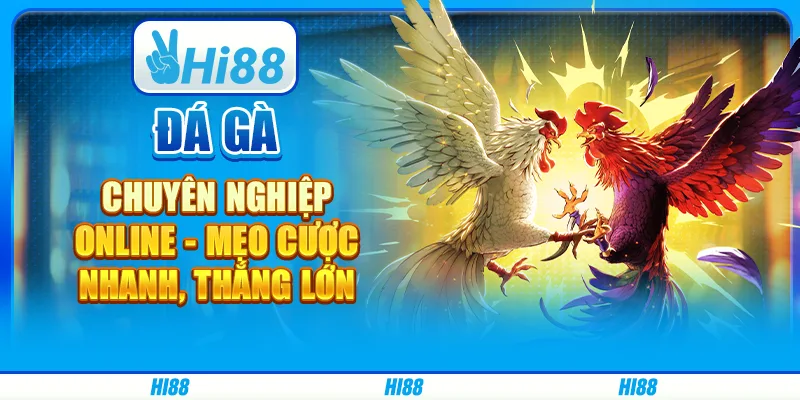 Đá Gà Chuyên Nghiệp Online - Mẹo Cược Nhanh, Thắng Lớn