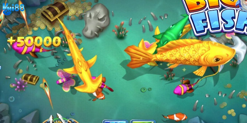 Nhiều loại cá đặc biệt với thưởng lớn