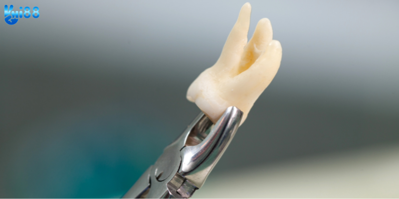 Những dấu hiệu giúp bạn phân tích giấc mơ