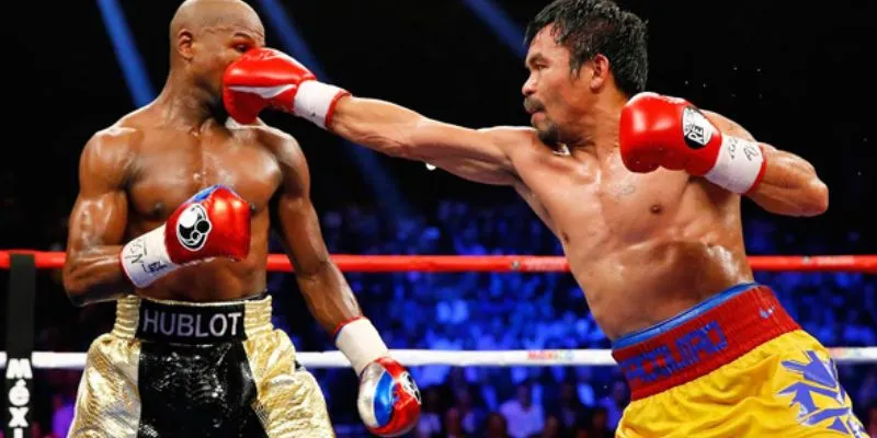 Tìm hiểu về cá cược quyền anh tại Hi88